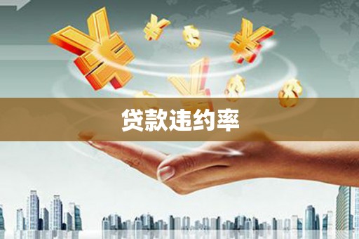 江夏贷款违约率