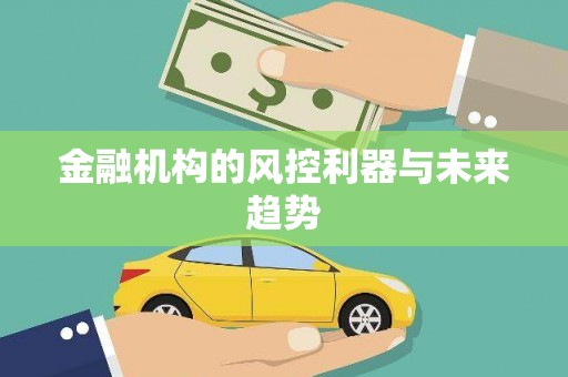 江夏金融机构的风控利器与未来趋势