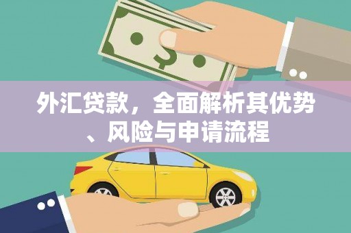 江夏外汇贷款，全面解析其优势、风险与申请流程