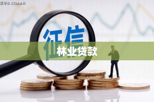 江夏林业贷款