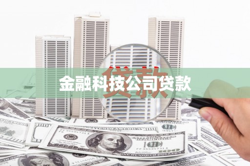 江夏金融科技公司贷款
