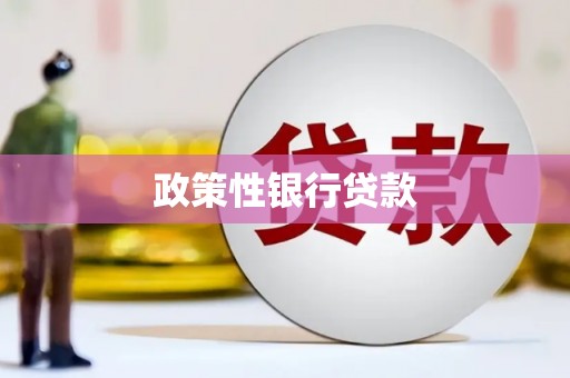 江夏政策性银行贷款