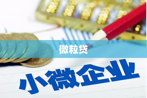 江夏微粒贷