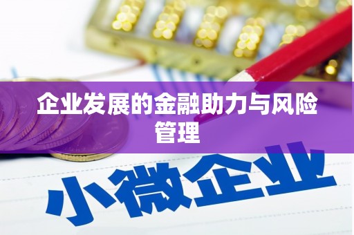 江夏企业发展的金融助力与风险管理