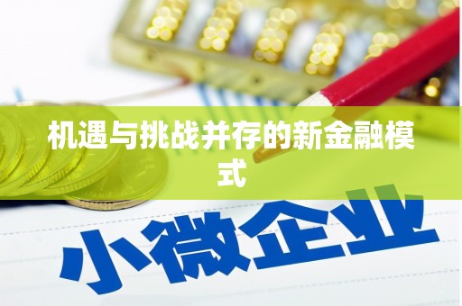 江夏机遇与挑战并存的新金融模式