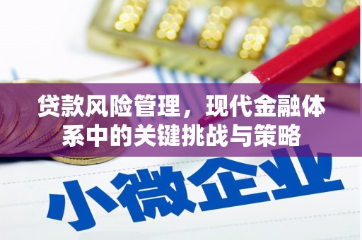 江夏贷款风险管理，现代金融体系中的关键挑战与策略