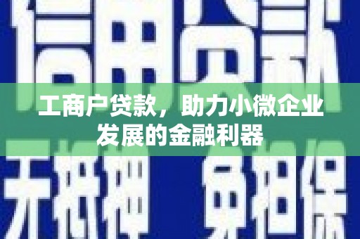 江夏工商户贷款，助力小微企业发展的金融利器