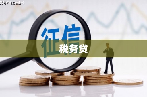 江夏税务贷