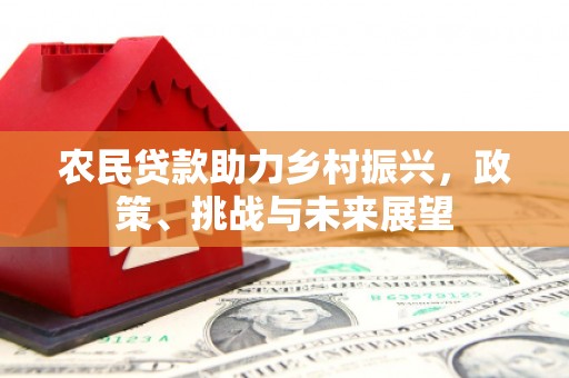 江夏农民贷款助力乡村振兴，政策、挑战与未来展望