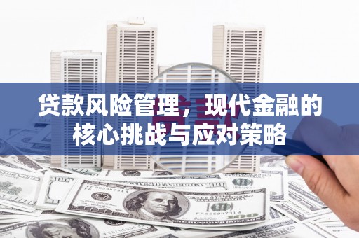 江夏贷款风险管理，现代金融的核心挑战与应对策略