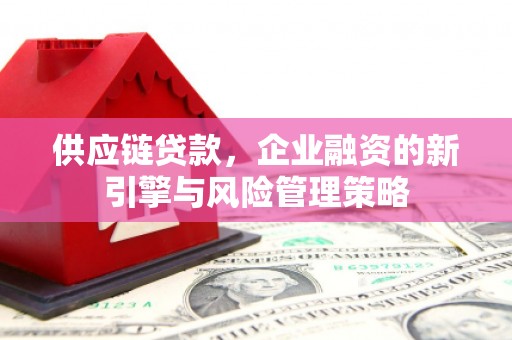 江夏供应链贷款，企业融资的新引擎与风险管理策略