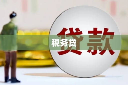 江夏税务贷