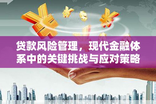 江夏贷款风险管理，现代金融体系中的关键挑战与应对策略