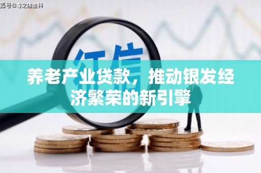 江夏养老产业贷款，推动银发经济繁荣的新引擎