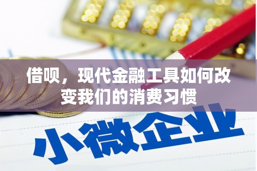 江夏借呗，现代金融工具如何改变我们的消费习惯