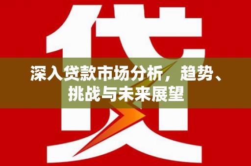 江夏深入贷款市场分析，趋势、挑战与未来展望