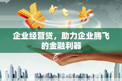 江夏企业经营贷，助力企业腾飞的金融利器
