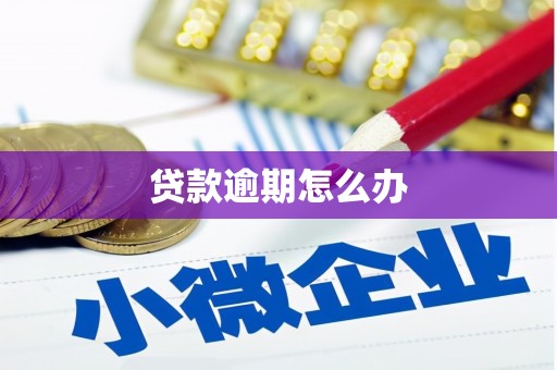 江夏贷款逾期怎么办