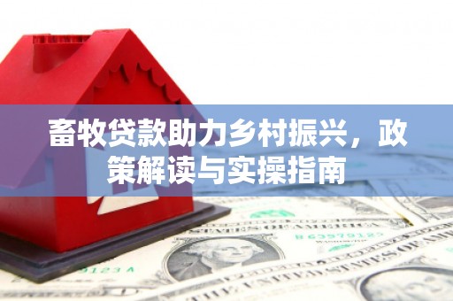 江夏畜牧贷款助力乡村振兴，政策解读与实操指南