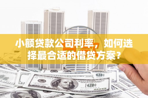 江夏小额贷款公司利率，如何选择最合适的借贷方案？