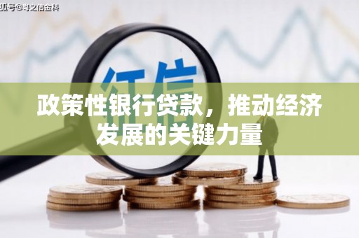江夏政策性银行贷款，推动经济发展的关键力量