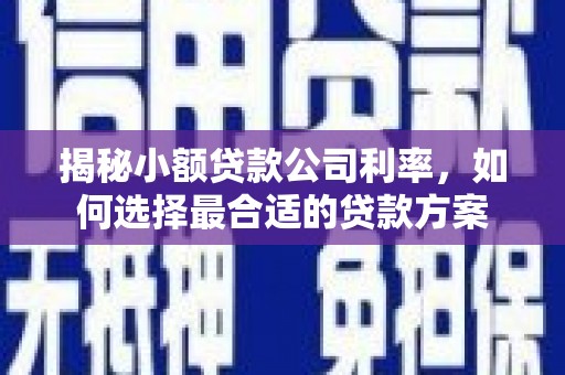 江夏揭秘小额贷款公司利率，如何选择最合适的贷款方案