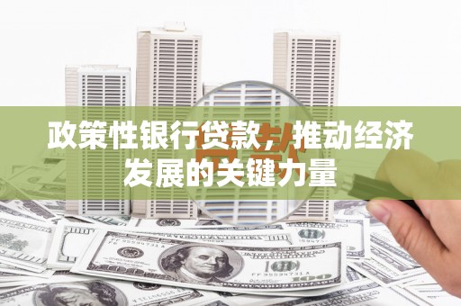 江夏政策性银行贷款，推动经济发展的关键力量