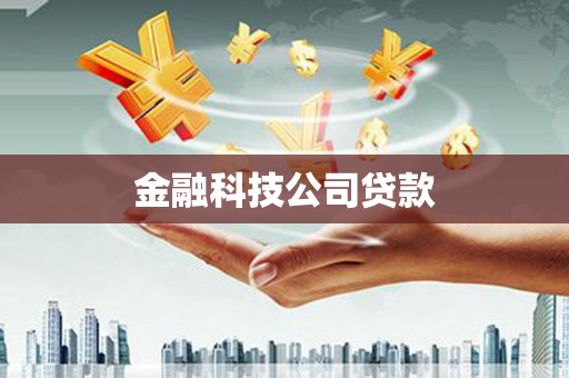 江夏金融科技公司贷款