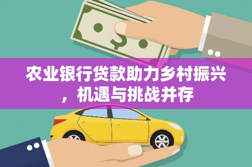 江夏农业银行贷款助力乡村振兴，机遇与挑战并存
