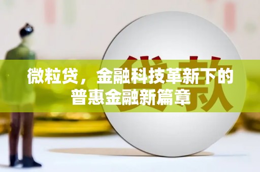 江夏微粒贷，金融科技革新下的普惠金融新篇章