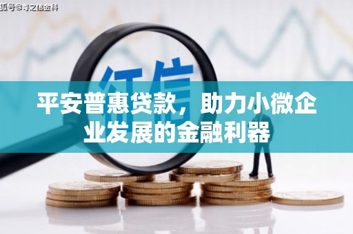 江夏平安普惠贷款，助力小微企业发展的金融利器