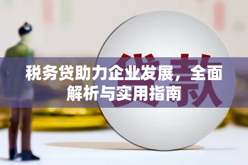 江夏税务贷助力企业发展，全面解析与实用指南