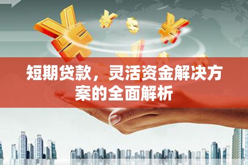 江夏短期贷款，灵活资金解决方案的全面解析