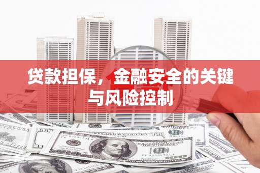 江夏贷款担保，金融安全的关键与风险控制