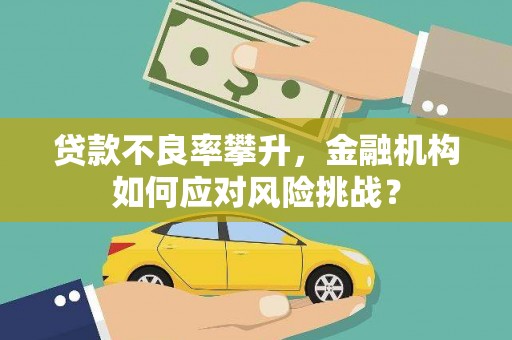 江夏贷款不良率攀升，金融机构如何应对风险挑战？
