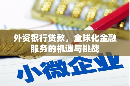 江夏外资银行贷款，全球化金融服务的机遇与挑战