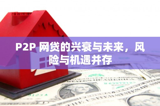 江夏P2P 网贷的兴衰与未来，风险与机遇并存