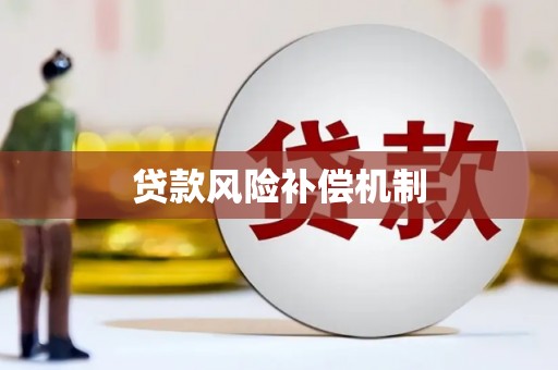 江夏贷款风险补偿机制