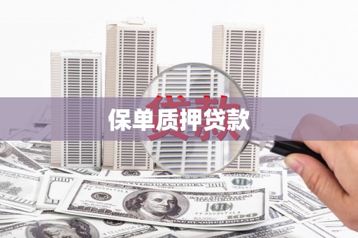 江夏保单质押贷款