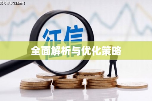 江夏全面解析与优化策略