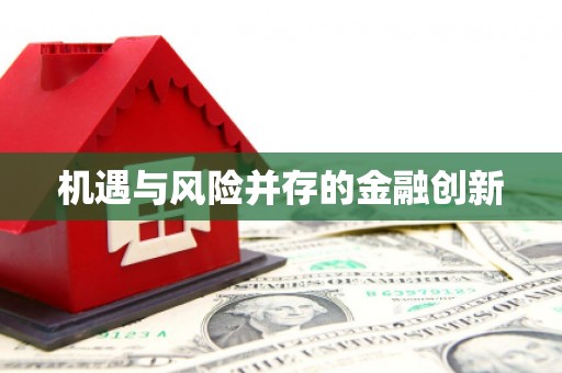 江夏机遇与风险并存的金融创新