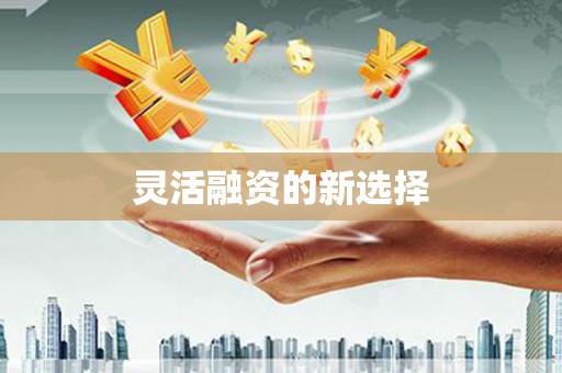 江夏灵活融资的新选择