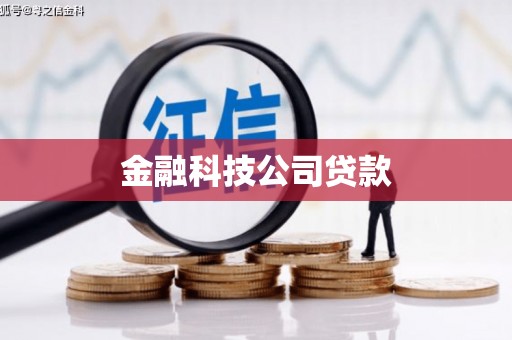 江夏金融科技公司贷款