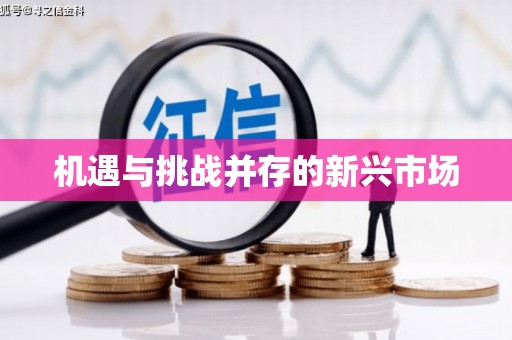 江夏机遇与挑战并存的新兴市场